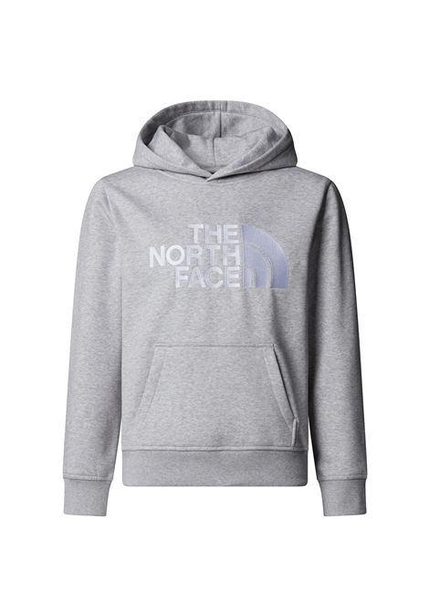 THE NORTH FACE Crisp Axon Hoodie S グレー The North face Drew Peak Hoodie Grey Junior - THE NORTH FACE